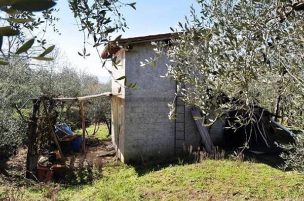 terreno agricolo in vendita a Terranuova Bracciolini in zona Persignano