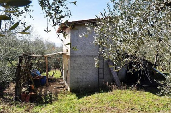 terreno agricolo in vendita a Terranuova Bracciolini in zona Persignano