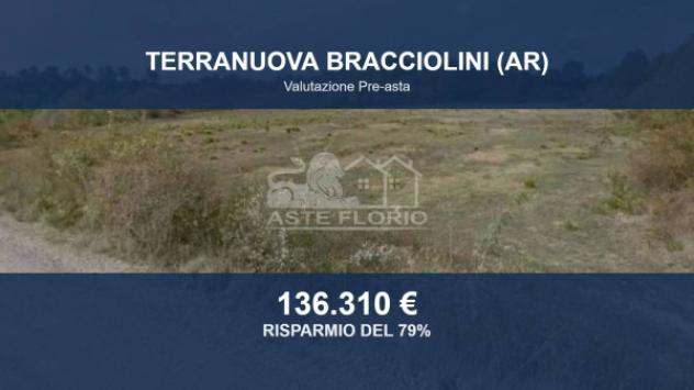 terreno agricolo in vendita a Terranuova Bracciolini