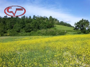 terreno in vendita a Terranuova Bracciolini in zona Tasso