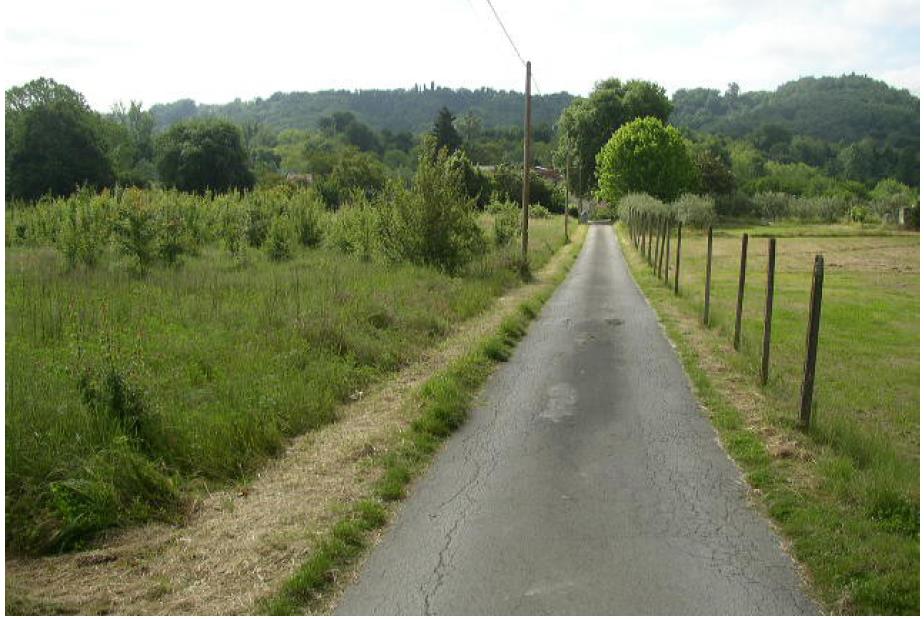 terreno agricolo in vendita a Terranuova Bracciolini in zona Penna