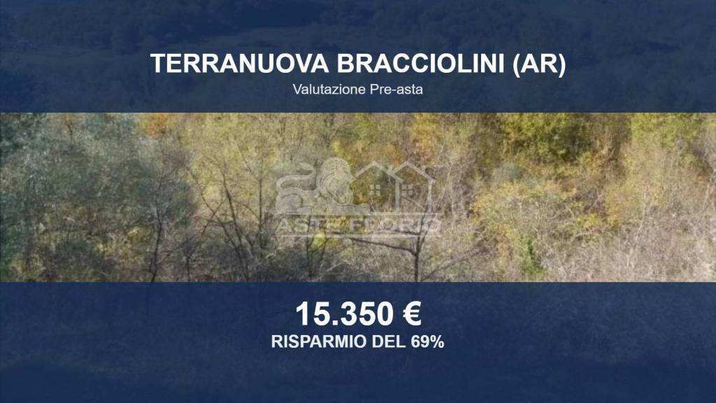 terreno agricolo in vendita a Terranuova Bracciolini in zona Campogialli