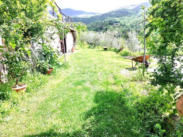 terreno agricolo a Castelfranco Piandiscò in zona Castelfranco di Sopra