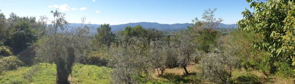 appartamento in vendita a Castelfranco Piandiscò