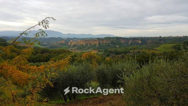 casale in vendita a Castelfranco Piandiscò in zona Castelfranco di Sopra