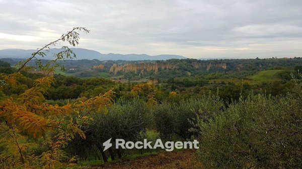 casale in vendita a Castelfranco Piandiscò in zona Castelfranco di Sopra