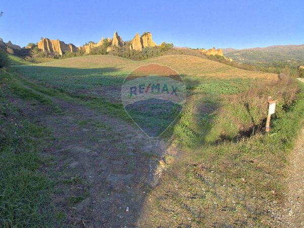 terreno agricolo a Castelfranco Piandiscò in zona Castelfranco di Sopra