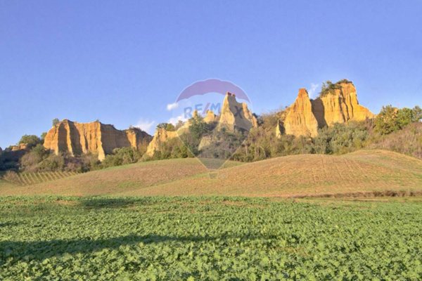 terreno agricolo in vendita a Castelfranco Piandiscò
