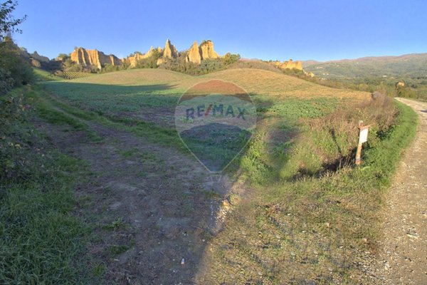 terreno agricolo in vendita a Castelfranco Piandiscò