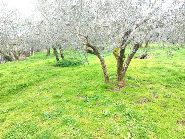 terreno agricolo a Castelfranco Piandiscò in zona Castelfranco di Sopra