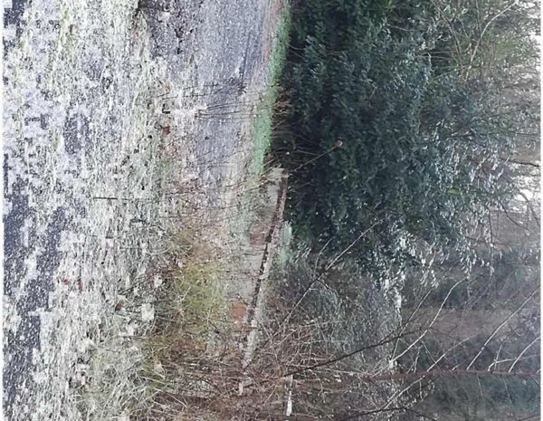 locale di sgombero in vendita a Castelfranco Piandiscò