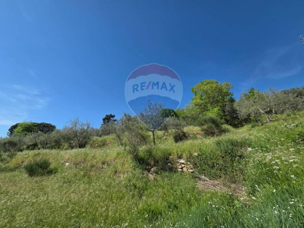 terreno agricolo in vendita a Castelfranco Piandiscò in zona Pulicciano