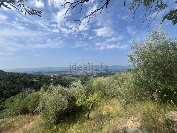 terreno agricolo in vendita a Castelfranco Piandiscò in zona Certignano
