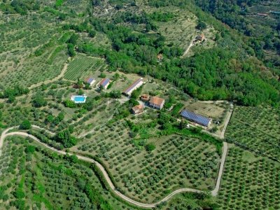 villa in vendita a Castelfranco Piandiscò in zona Pulicciano