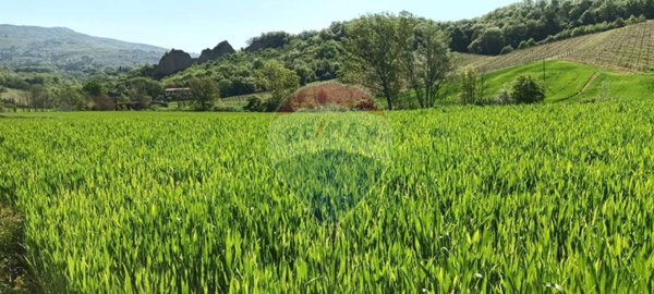 terreno agricolo in vendita a Castelfranco Piandiscò