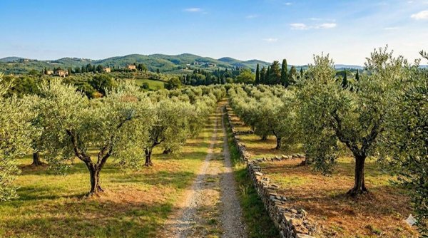 terreno agricolo in vendita a Castelfranco Piandiscò