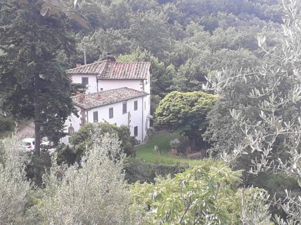 casa indipendente in vendita a Castelfranco Piandiscò
