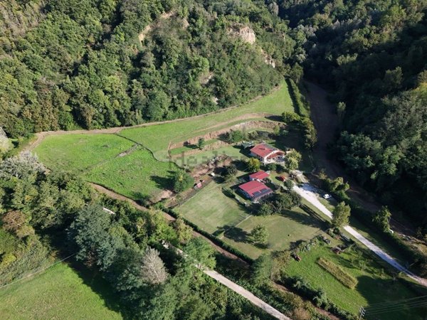 esavano in vendita a Castelfranco Piandiscò in zona Castelfranco di Sopra