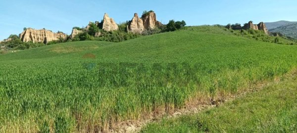 terreno agricolo a Castelfranco Piandiscò in zona Castelfranco di Sopra