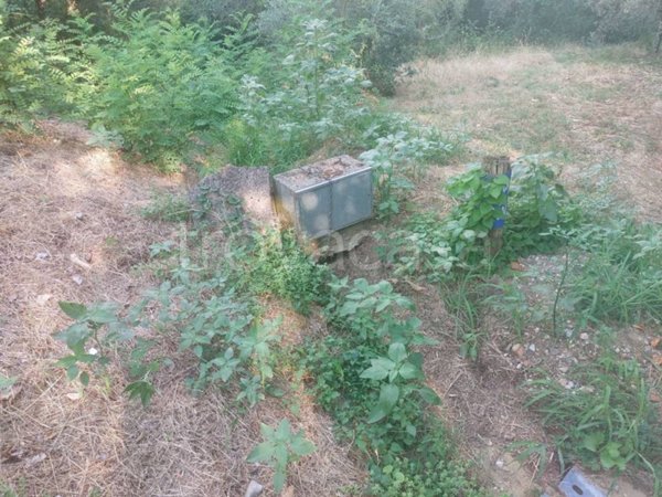 terreno agricolo in vendita a Castelfranco Piandiscò