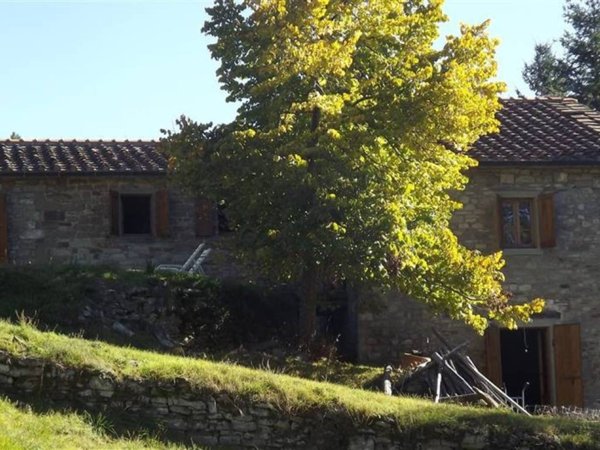 casa indipendente in vendita a Pratovecchio Stia in zona Pratovecchio