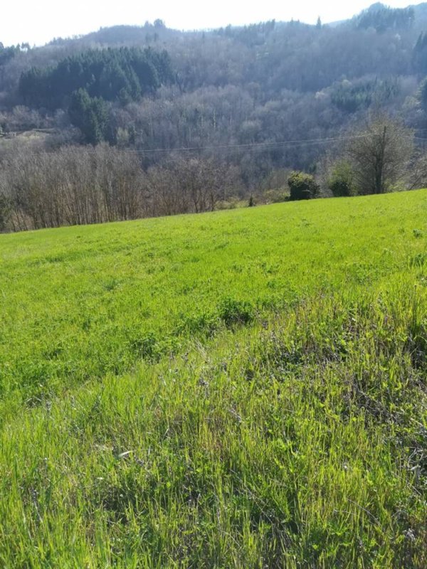terreno edificabile in vendita a Pratovecchio Stia in zona Stia