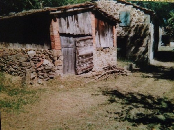 casa indipendente in vendita a Pratovecchio Stia in zona Stia