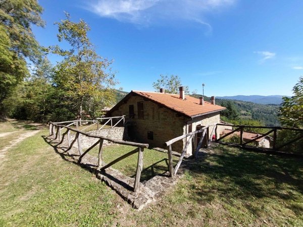 esavano in vendita a Pratovecchio Stia