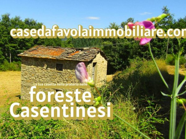 casa indipendente in vendita a Pratovecchio Stia in zona Pratovecchio
