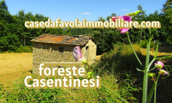 casa indipendente in vendita a Pratovecchio Stia in zona Stia