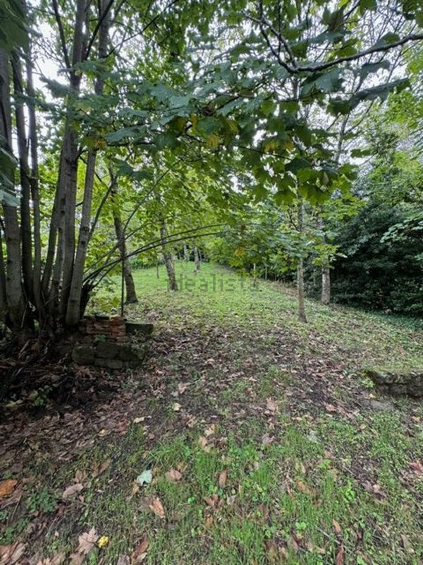 casa indipendente in vendita a Pratovecchio Stia