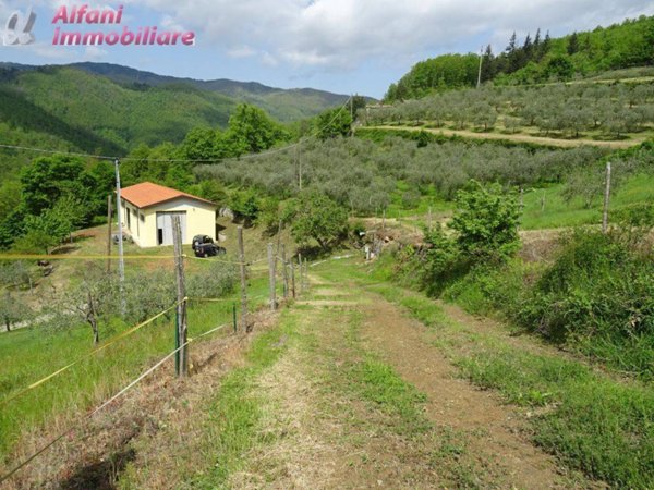 terreno agricolo in vendita a Pratovecchio Stia in zona Stia