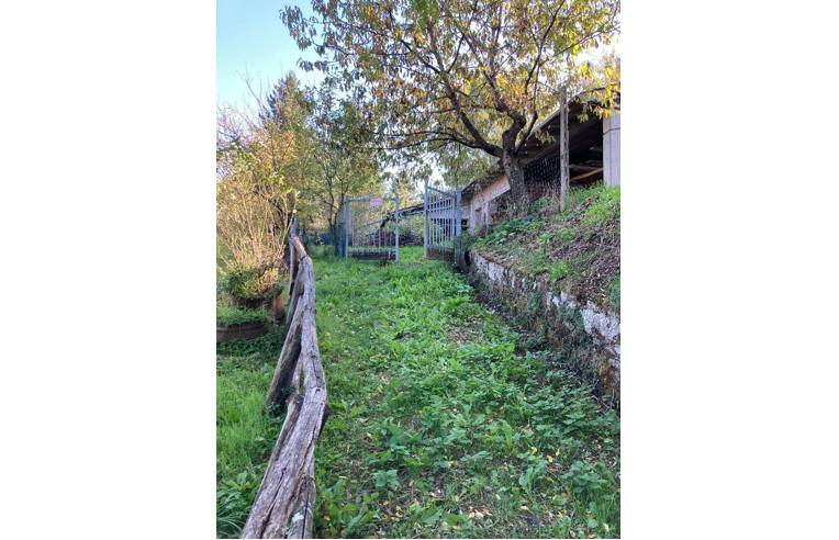 terreno agricolo in vendita a Pratovecchio Stia in zona Stia