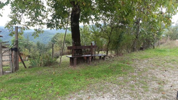 pentavano in vendita a Pratovecchio Stia in zona Stia