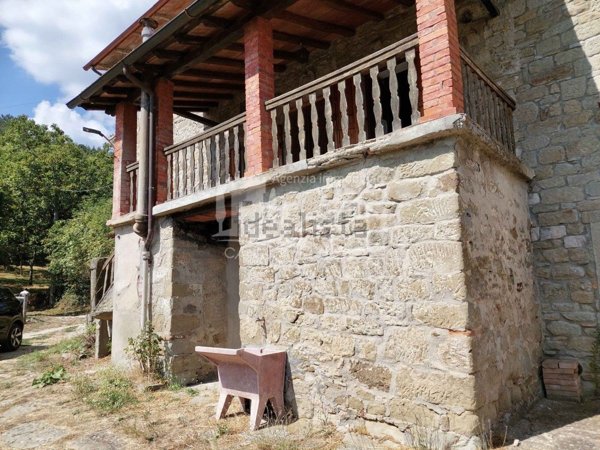 esavano in vendita a Pratovecchio Stia