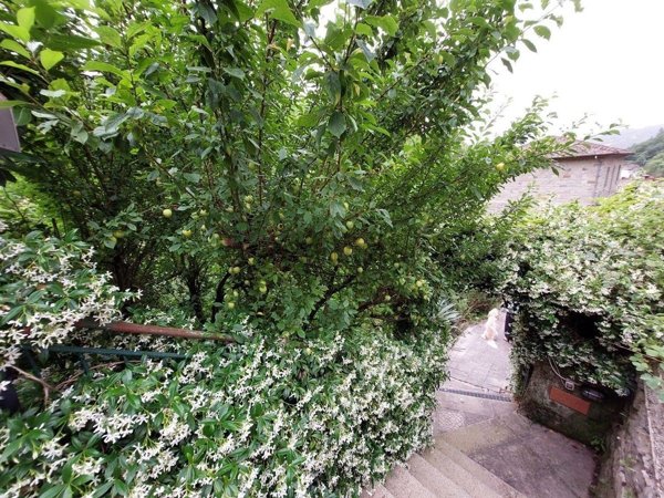 appartamento in vendita a Pratovecchio Stia