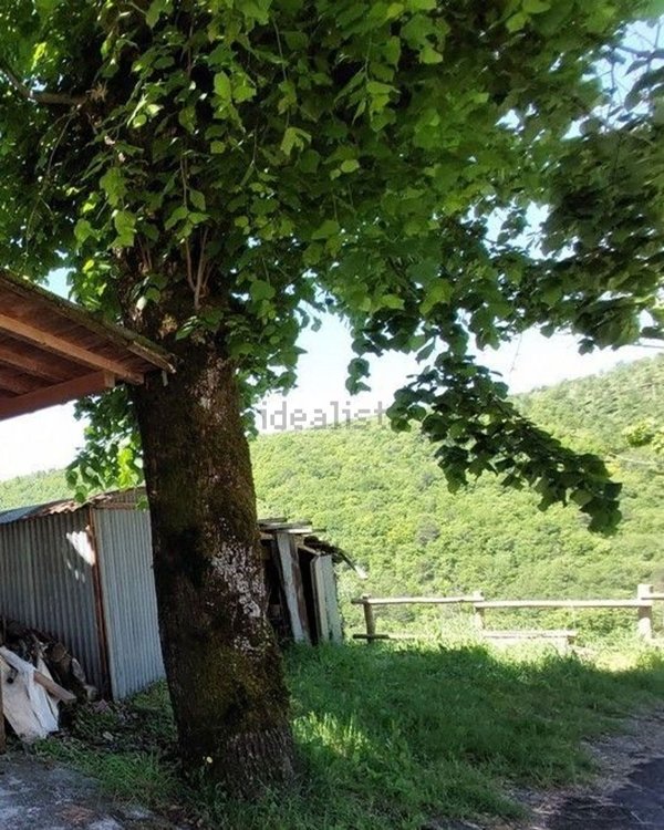 appartamento in vendita a Pratovecchio Stia in zona Papiano