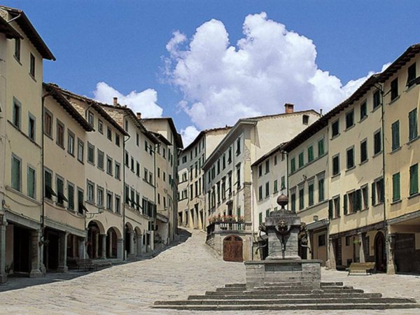 appartamento in vendita a Pratovecchio Stia