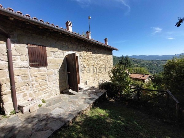 esavano in vendita a Pratovecchio Stia