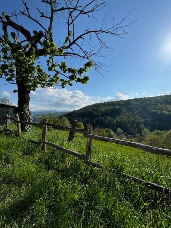 appartamento in vendita a Pratovecchio Stia in zona Papiano