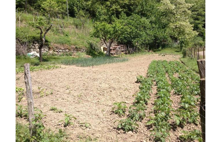 casa indipendente in vendita a Pratovecchio Stia in zona Villa