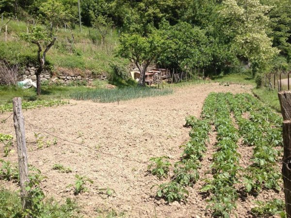 casa indipendente in vendita a Pratovecchio Stia in zona Villa