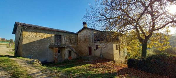 esavano in vendita a Pratovecchio Stia