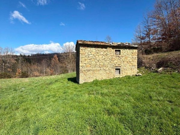 casa indipendente in vendita a Pratovecchio Stia in zona Stia