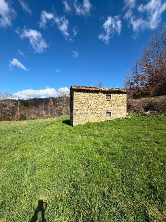 locale di sgombero in vendita a Pratovecchio Stia