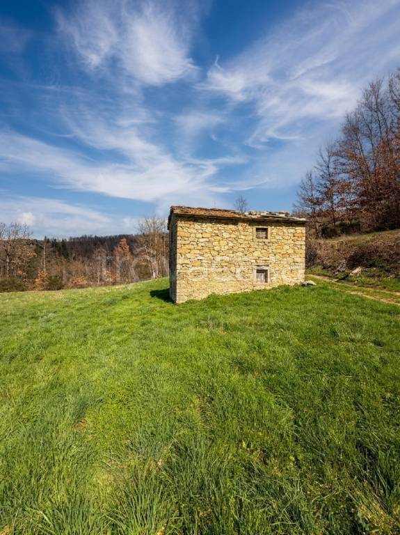 locale di sgombero in vendita a Pratovecchio Stia