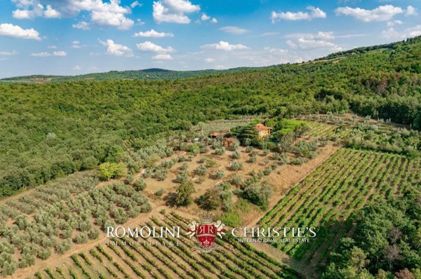 casale in vendita a Laterina Pergine Valdarno