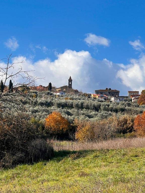 terreno agricolo in vendita a Laterina Pergine Valdarno in zona Pergine Valdarno