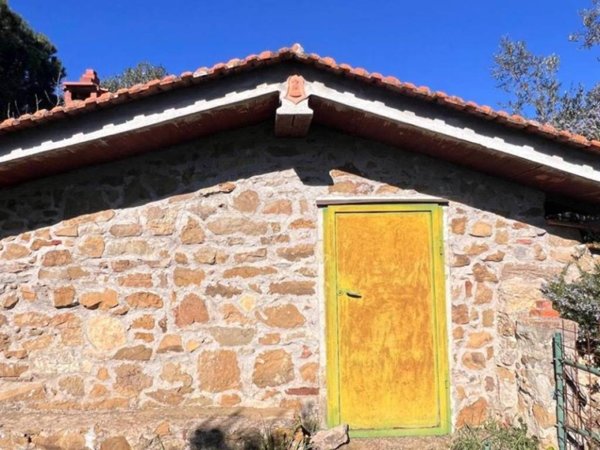 terreno agricolo in vendita a Laterina Pergine Valdarno