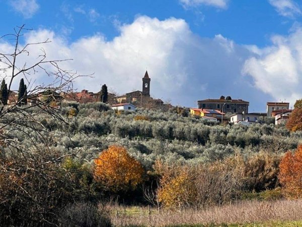terreno agricolo in vendita a Laterina Pergine Valdarno in zona Pergine Valdarno